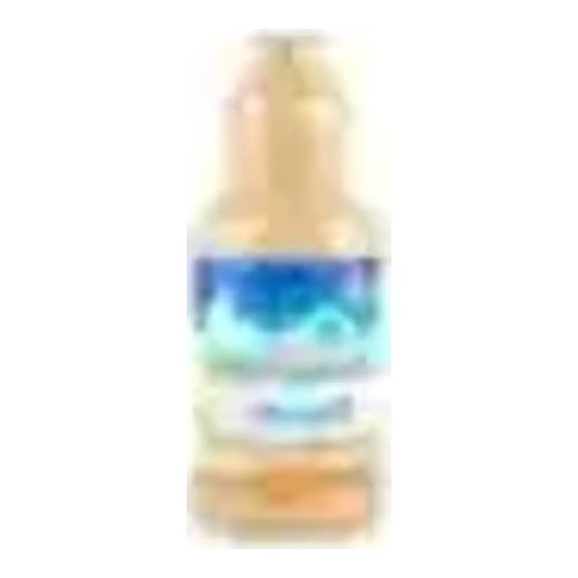 Mexquisita Concentrés (eaux fraîches) — Horchata — 12 x 700ml
